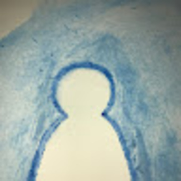 Meet your Posher, Eliza - Picture 1 of 1